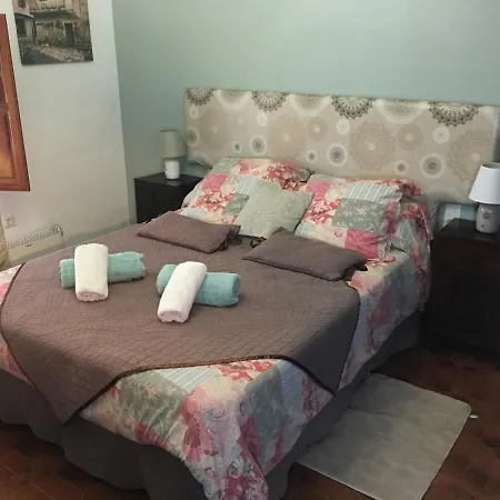 Paloma 3*